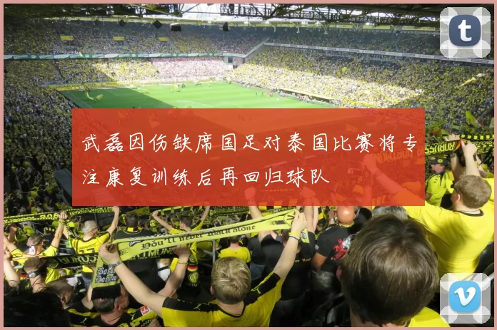 武磊因伤缺席国足对泰国比赛将专注康复训练后再回归球队